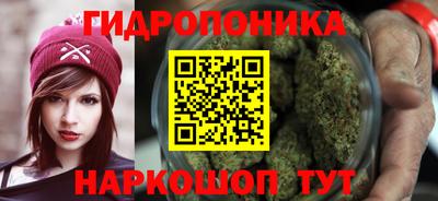 прущие крисы Шебекино