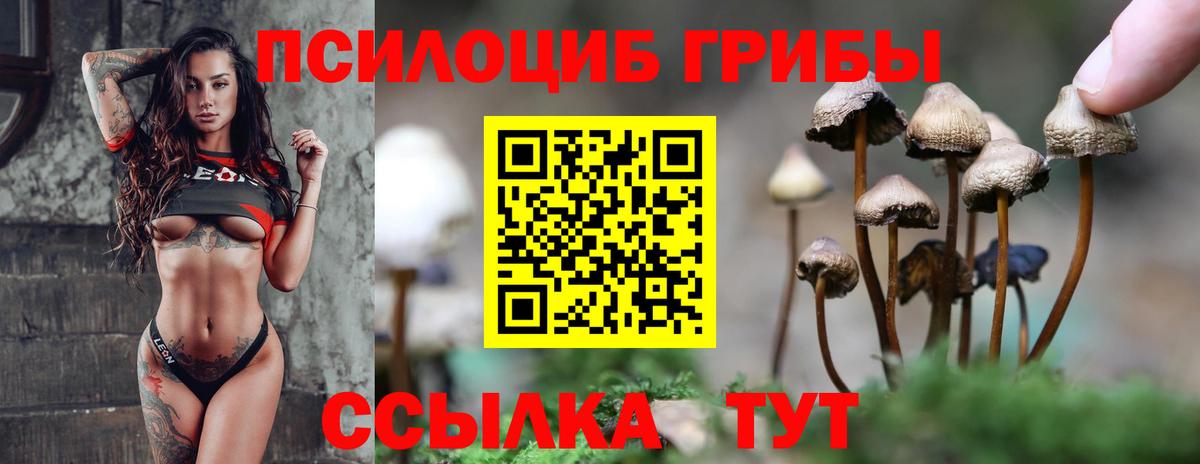 Псилоцибиновые грибы мухоморы Смоленск
